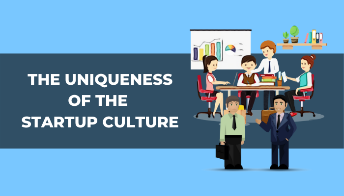 The Uniqueness of the Startup Culture